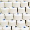Carded Cotton Yarn
