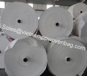 PP Woven Sack Roll Manufacturer